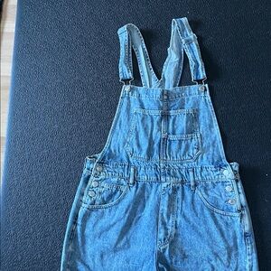 Free People Ziggy Denim Overalls